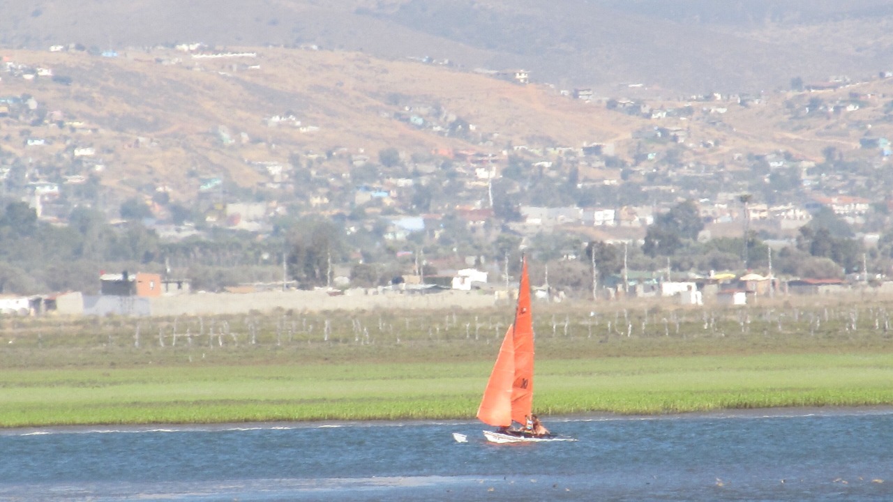 Photo of Others in Lengueta Arenosa