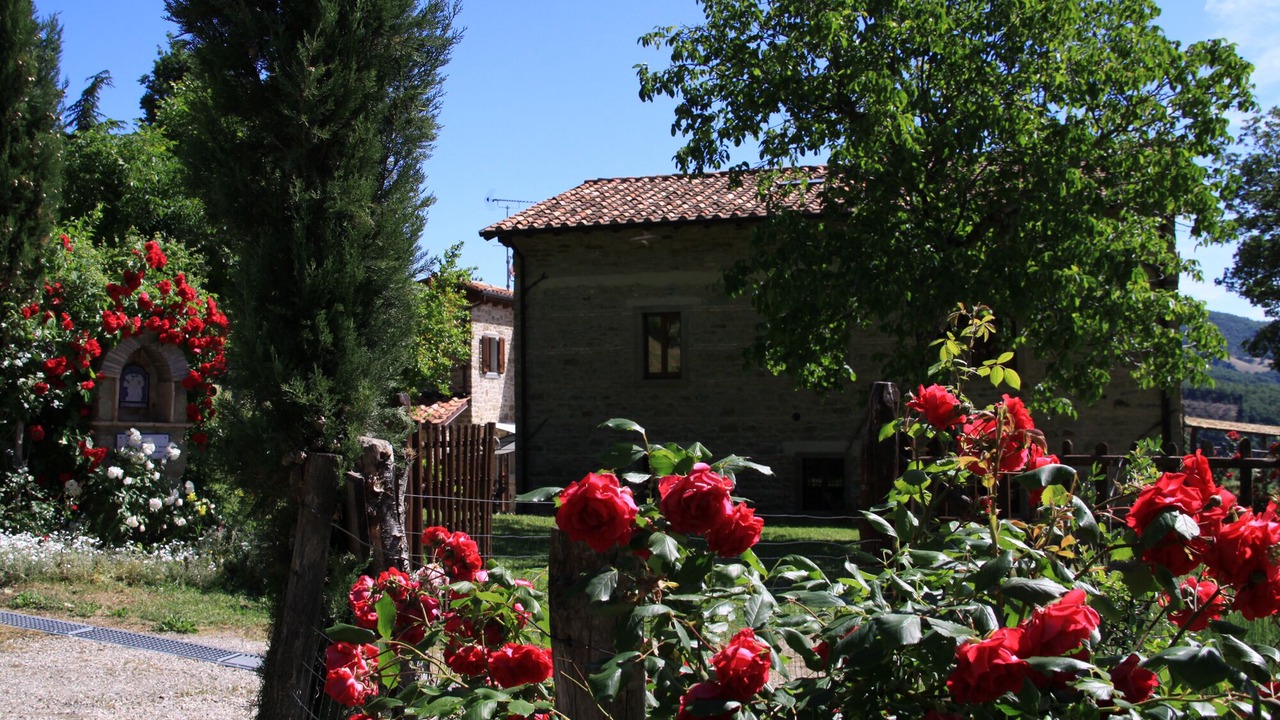 Photo of Outdoor in San Piero in Bagno
