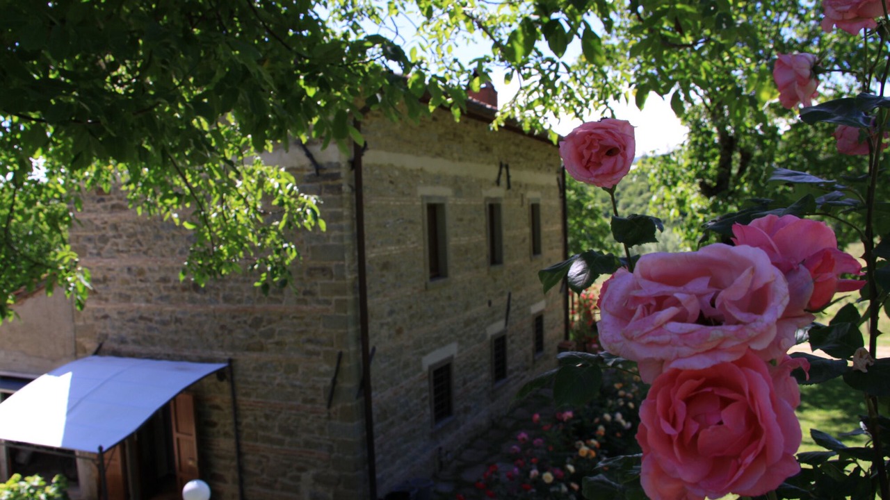 Photo of Outdoor in San Piero in Bagno