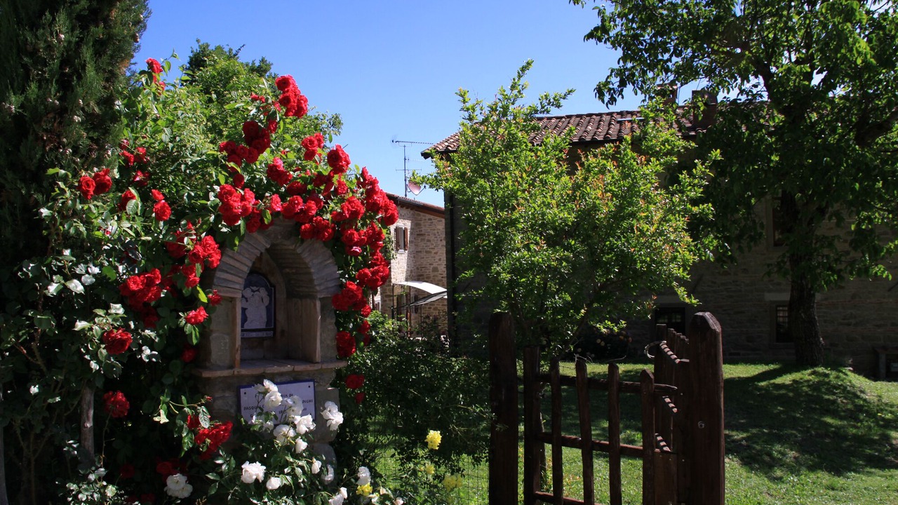 Photo of Outdoor in San Piero in Bagno