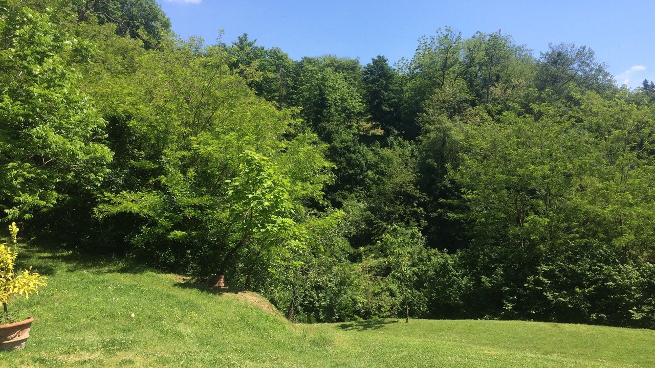 Photo of Outdoor in Sasso Marconi