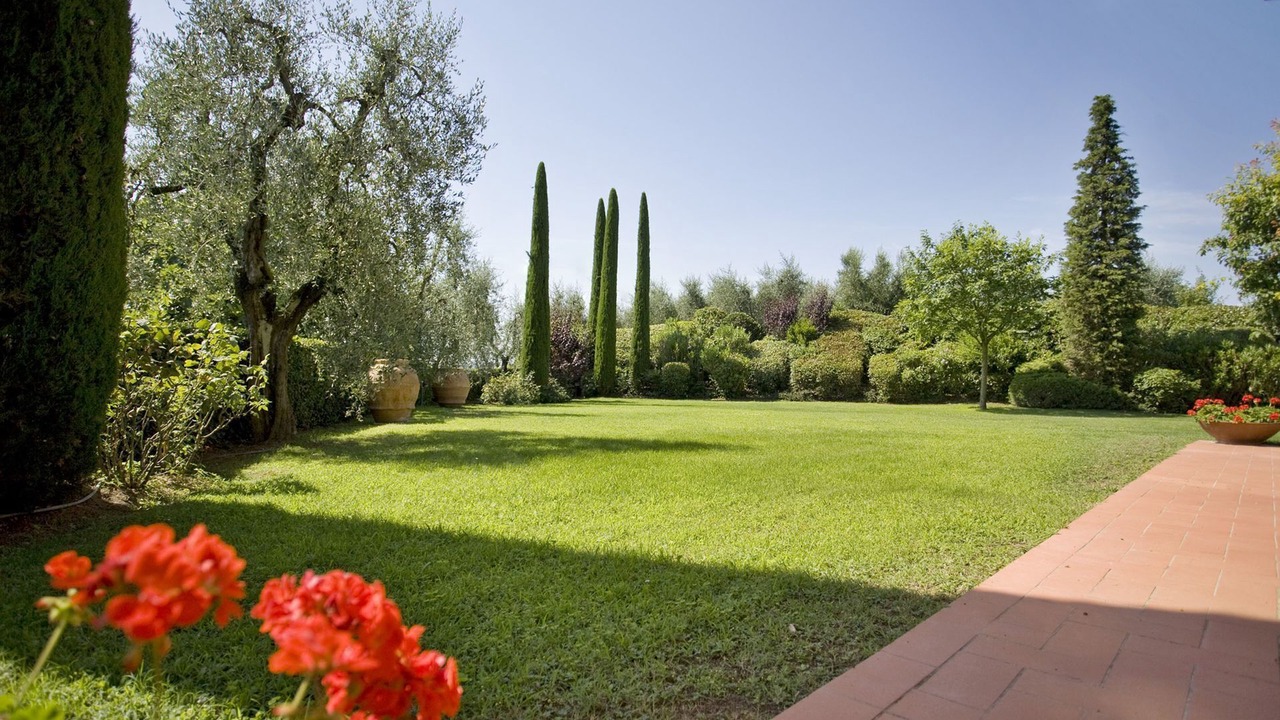 Photo of Outdoor in Palaia