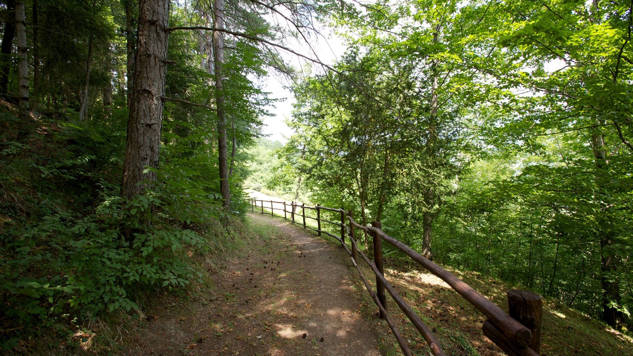 Photo of Outdoor in Stia