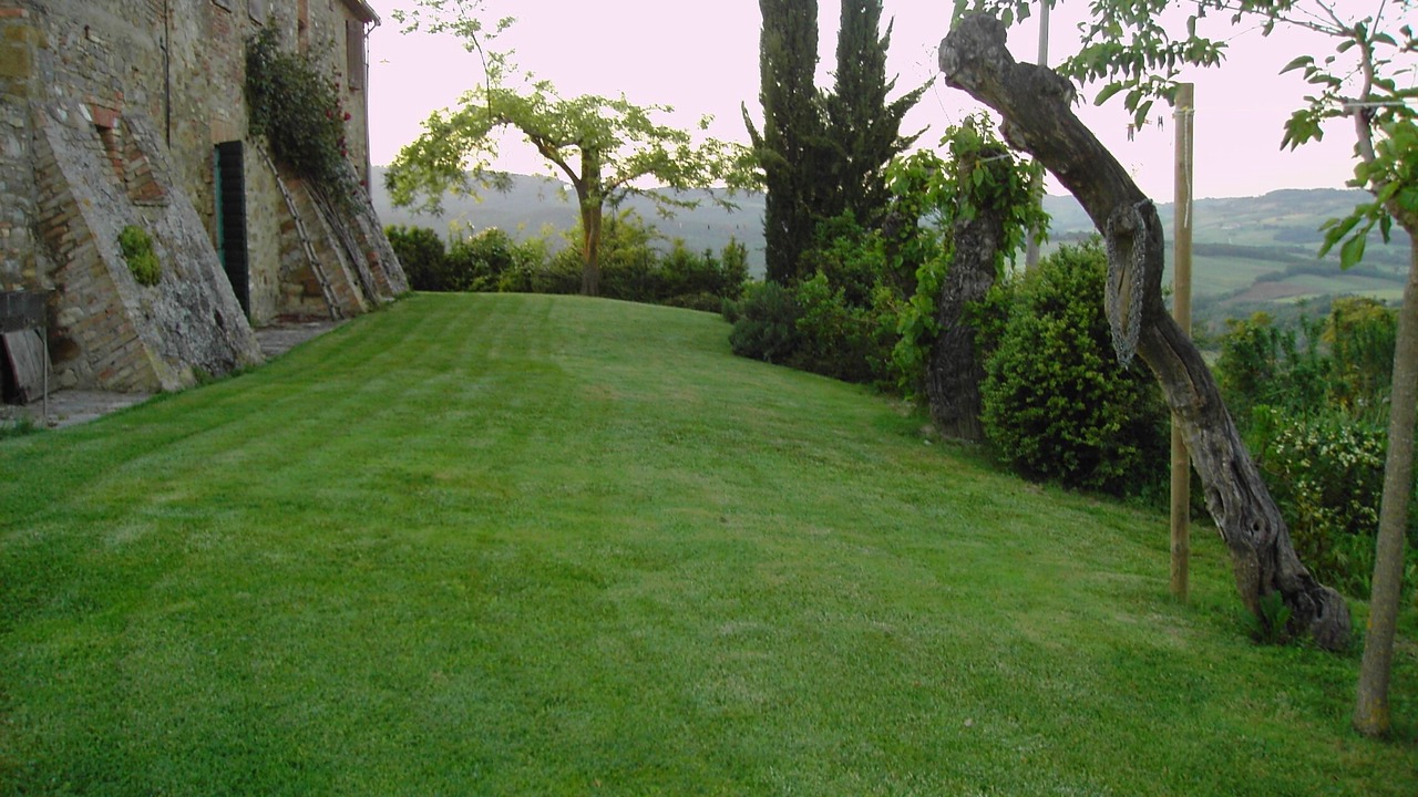 Photo of Outdoor in Monteguidi