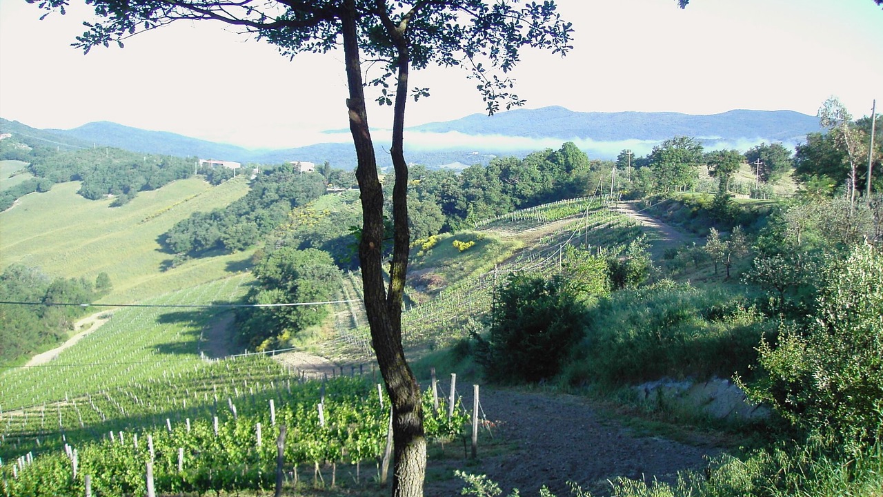 Photo of Outdoor in Monteguidi