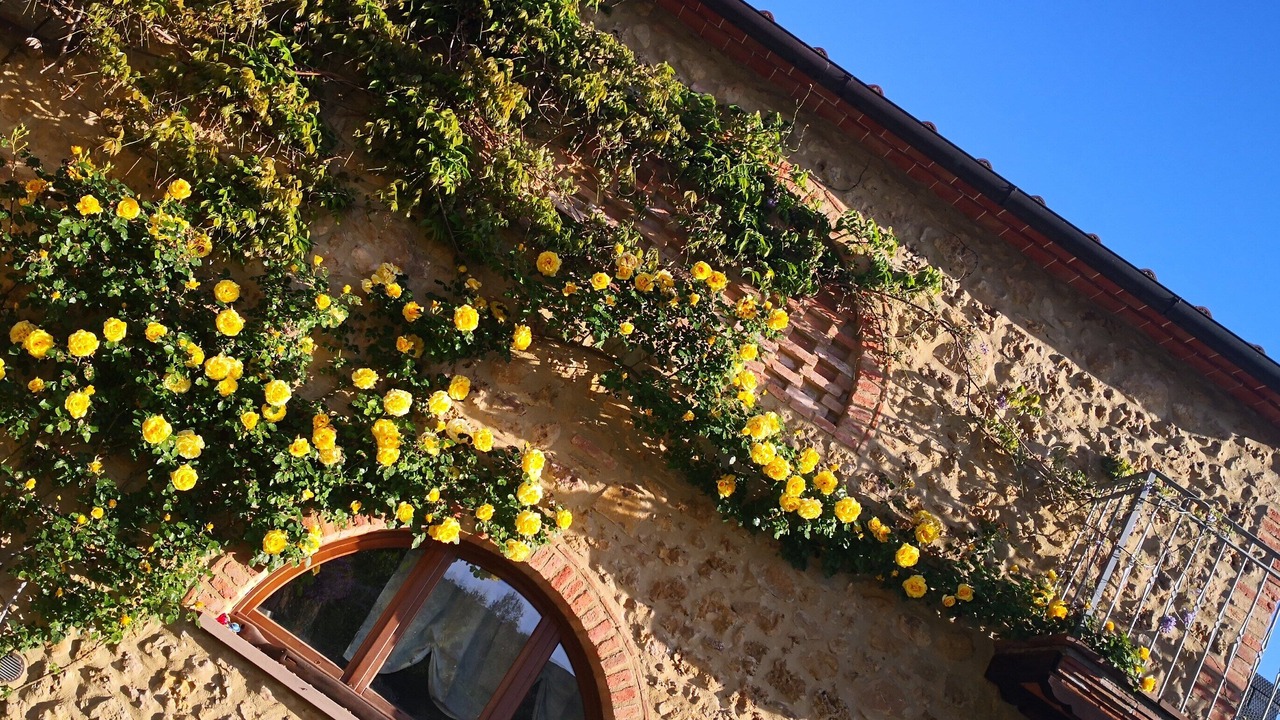 Photo of Outdoor in Volterra