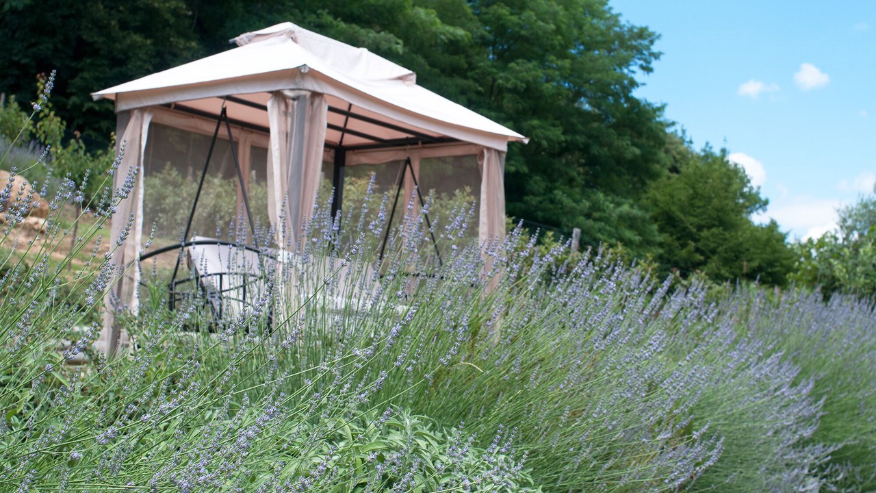 Photo of Outdoor in Volterra