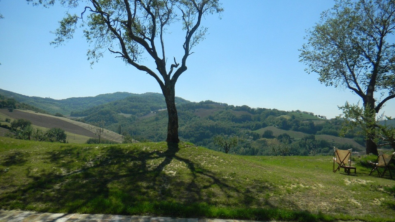Photo of Outdoor in Montelabbate