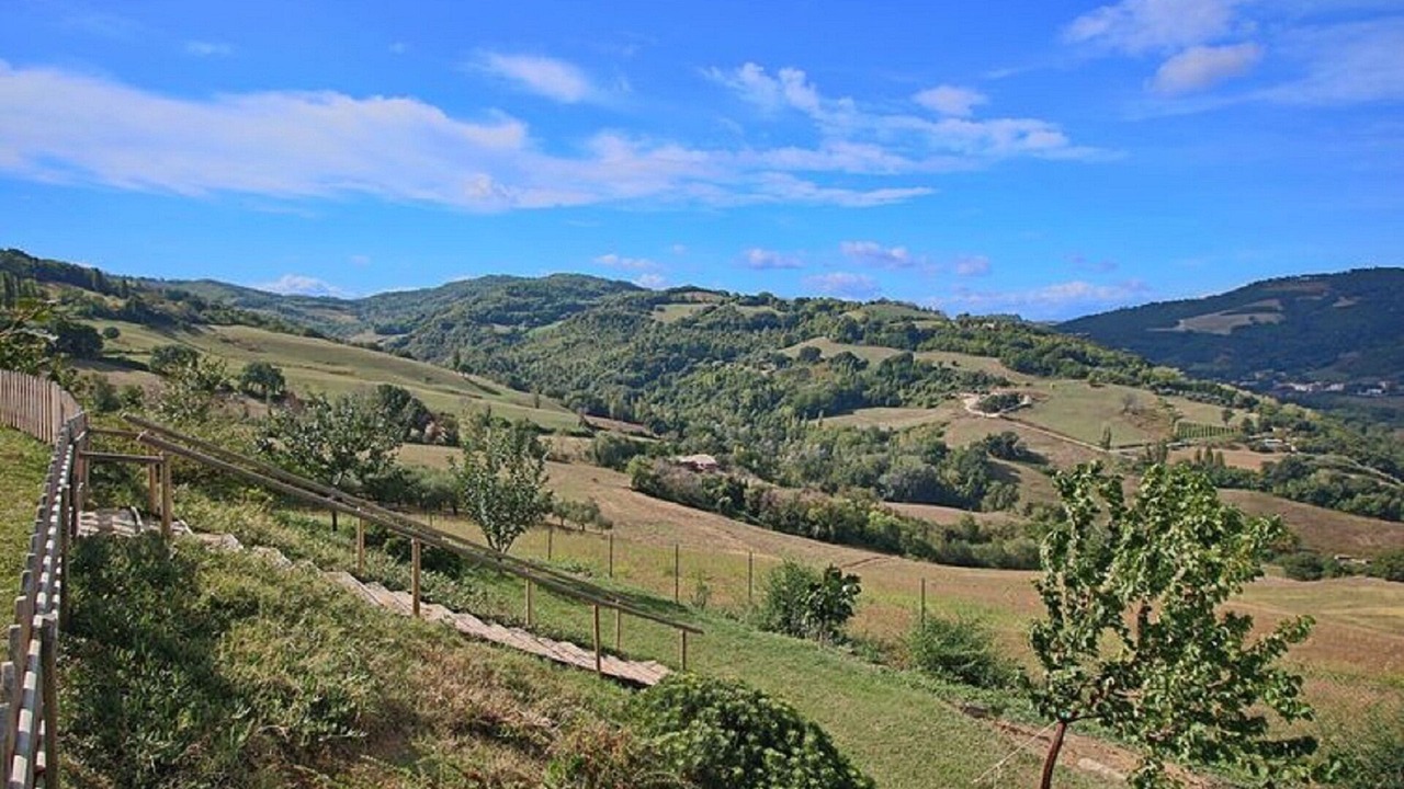 Photo of Outdoor in Montelabbate