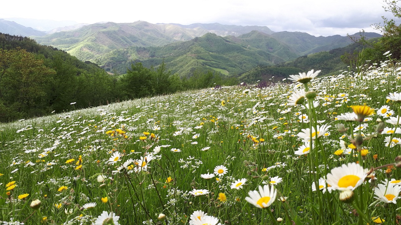 Photo of Outdoor in Casola Valsenio