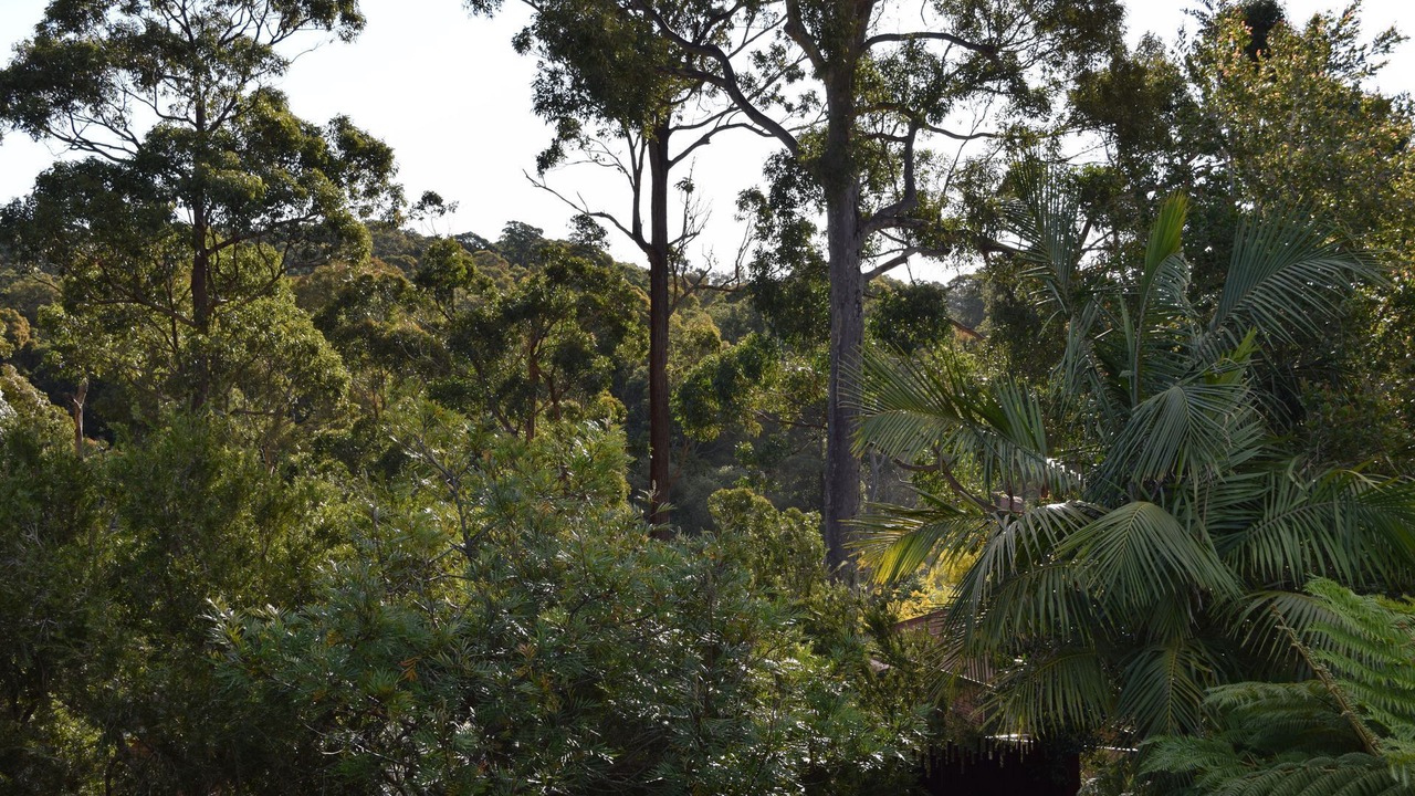 Photo of Outdoor in Lilli Pilli