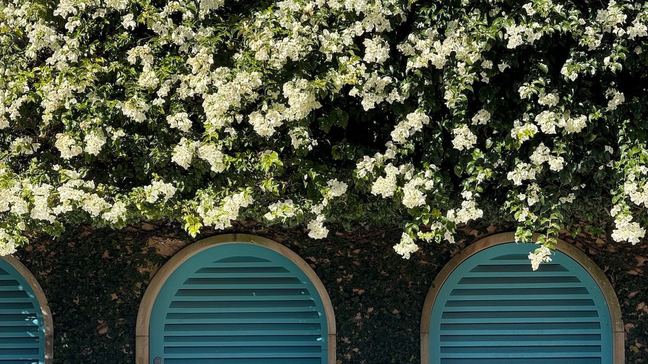 Photo of Outdoor in Palm Beach