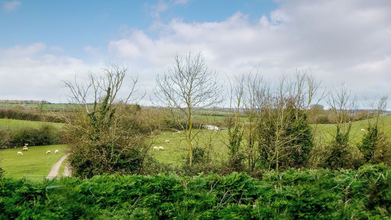 Photo of Others in Moreton-in-Marsh