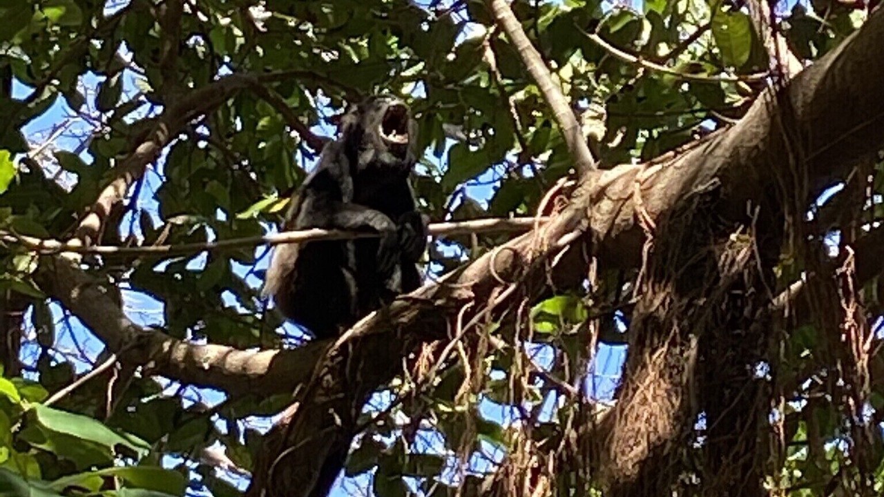 Photo of Others in El Ocotal