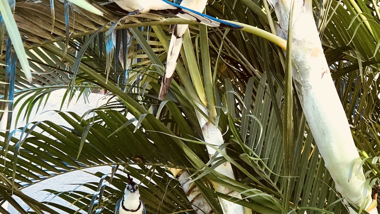 Photo of Others in El Ocotal