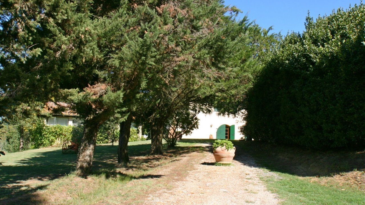 Photo of Outdoor in Montecalvoli