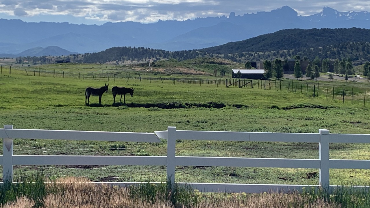 Photo of Others in Ridgway
