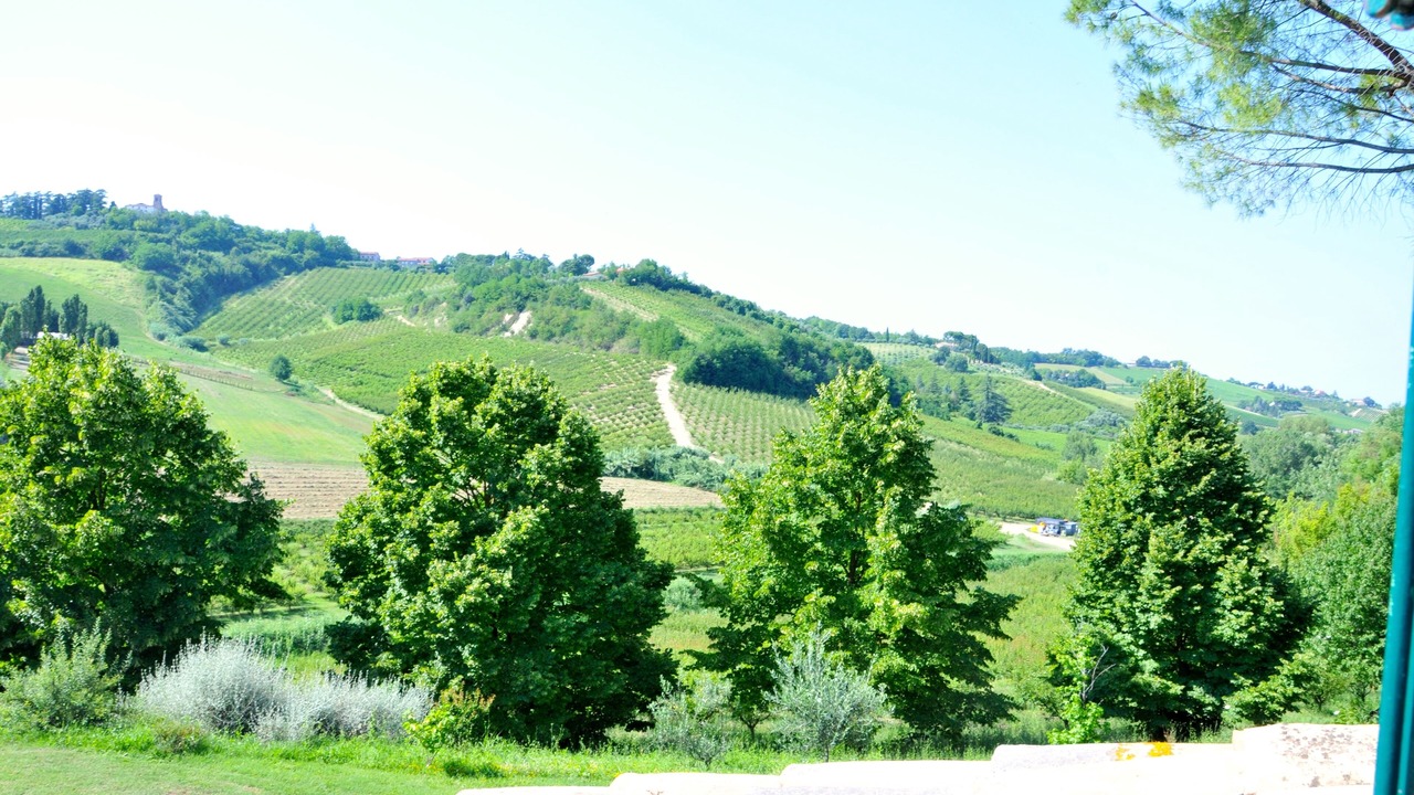 Photo of Outdoor in Quartiere Rubicone