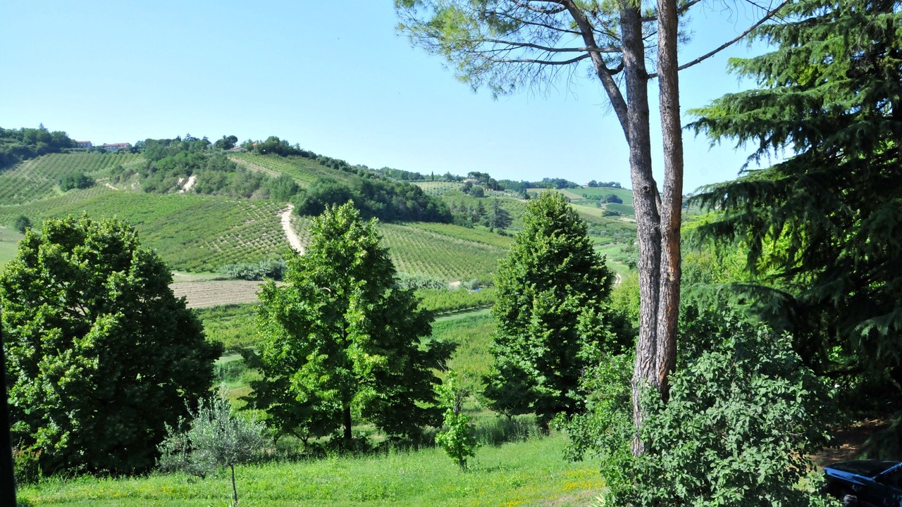 Photo of Others in Quartiere Rubicone