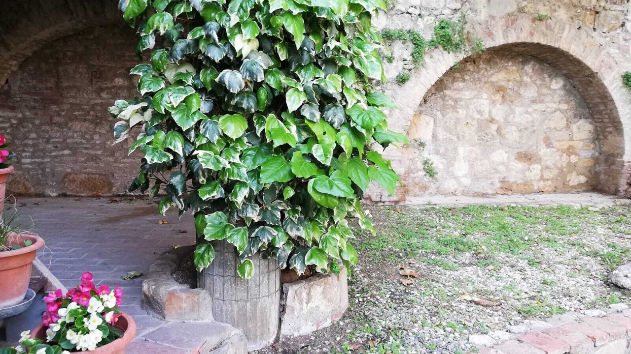 Photo of Outdoor in Colle di Val d'Elsa