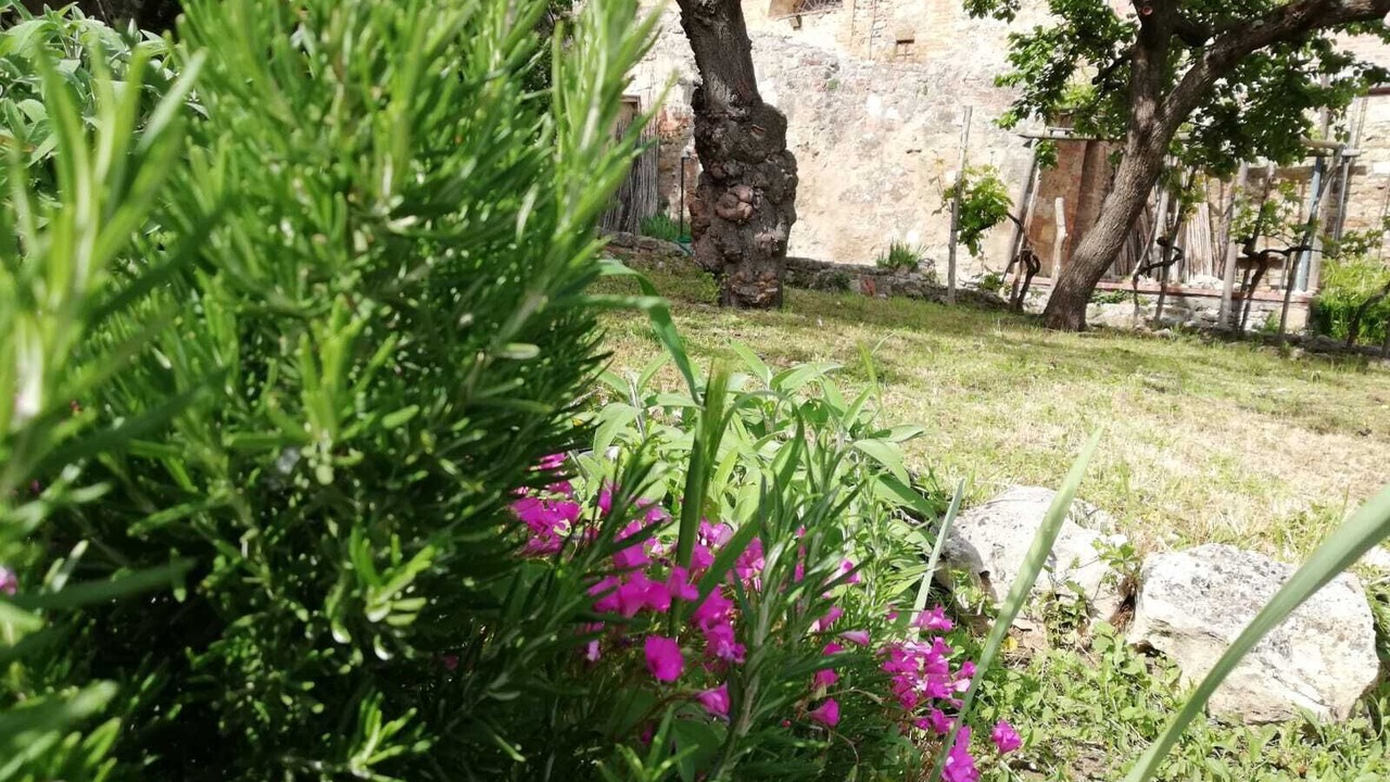 Photo of Outdoor in Colle di Val d'Elsa