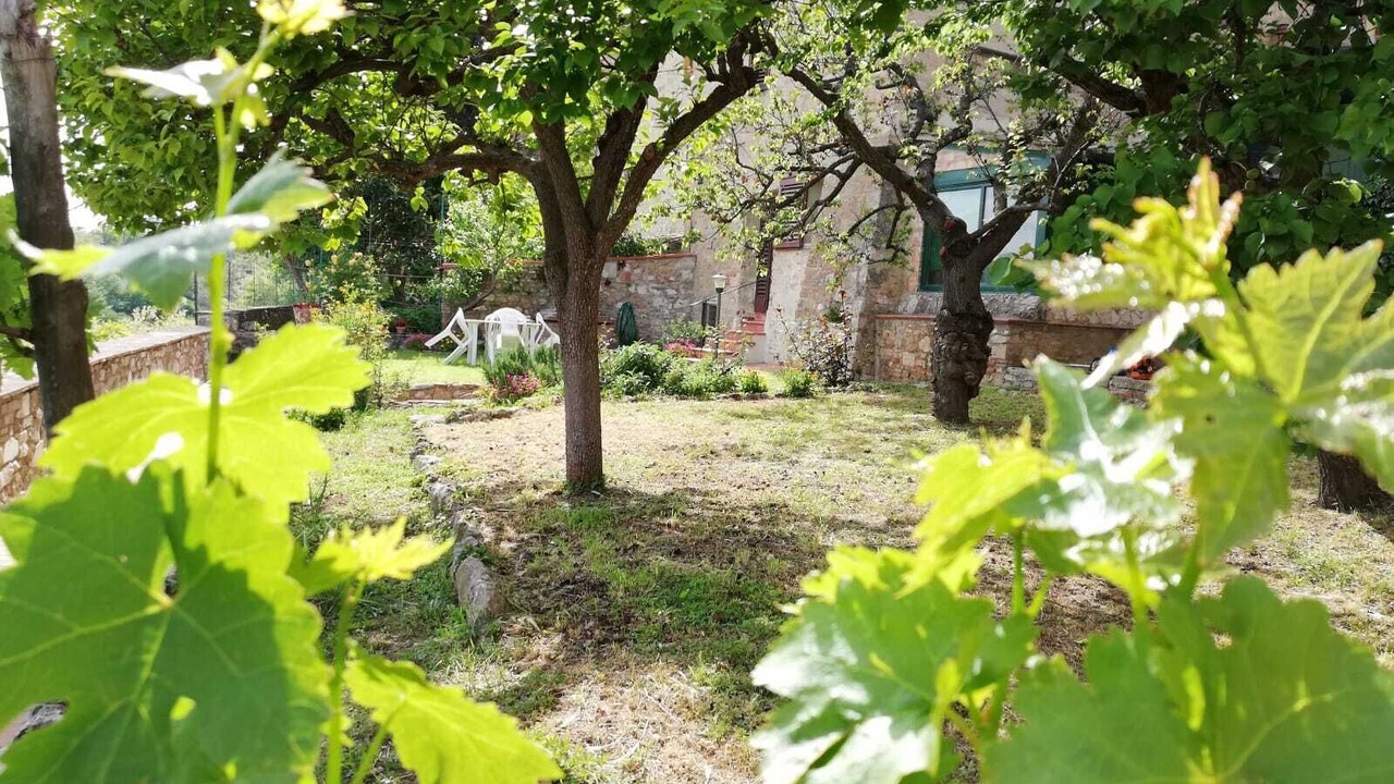 Photo of Outdoor in Colle di Val d'Elsa