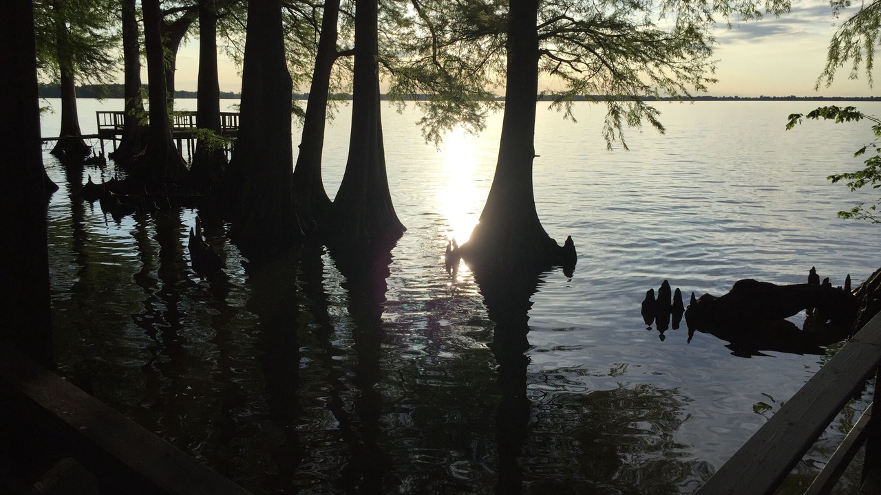 Photo of Others in Wynnburg
