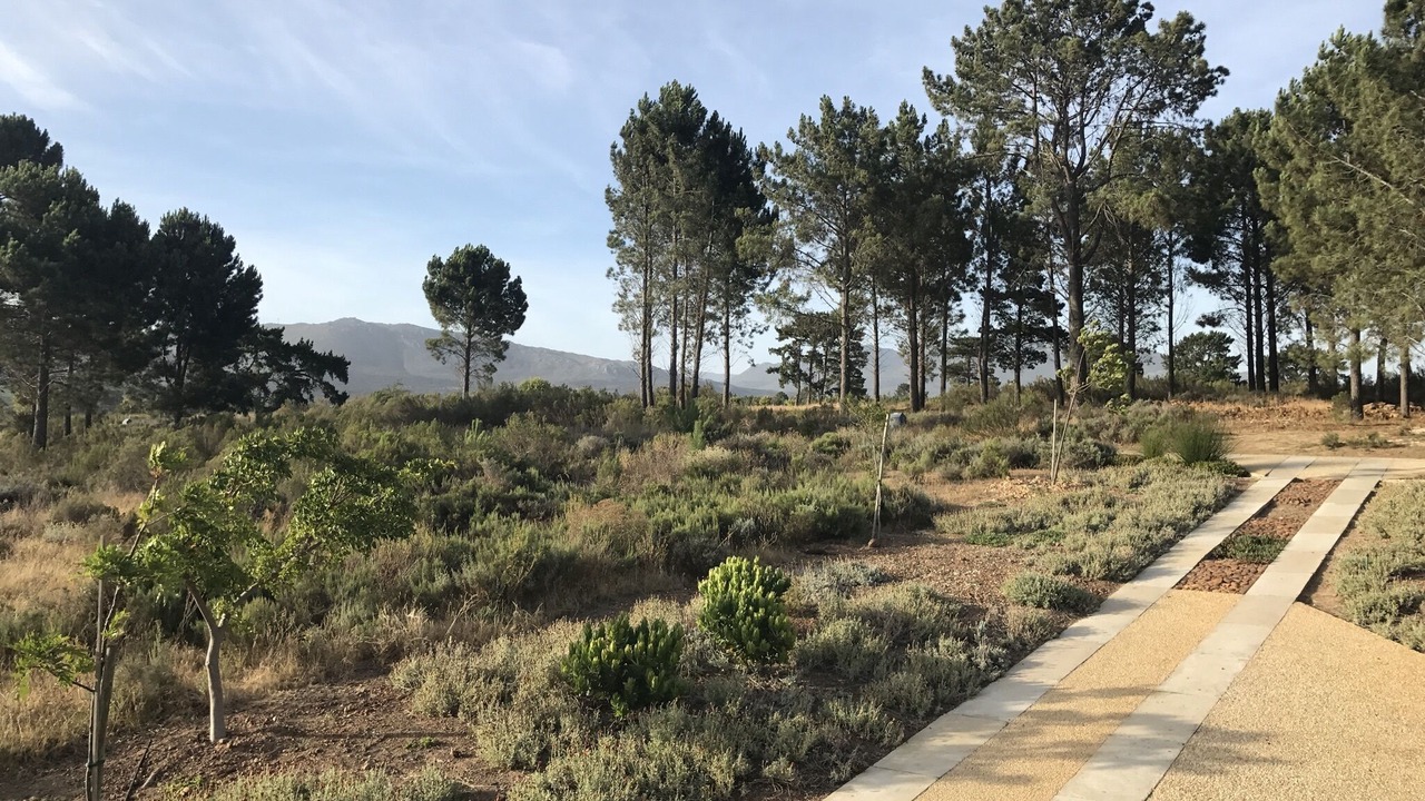 Photo of Outdoor in Elgin