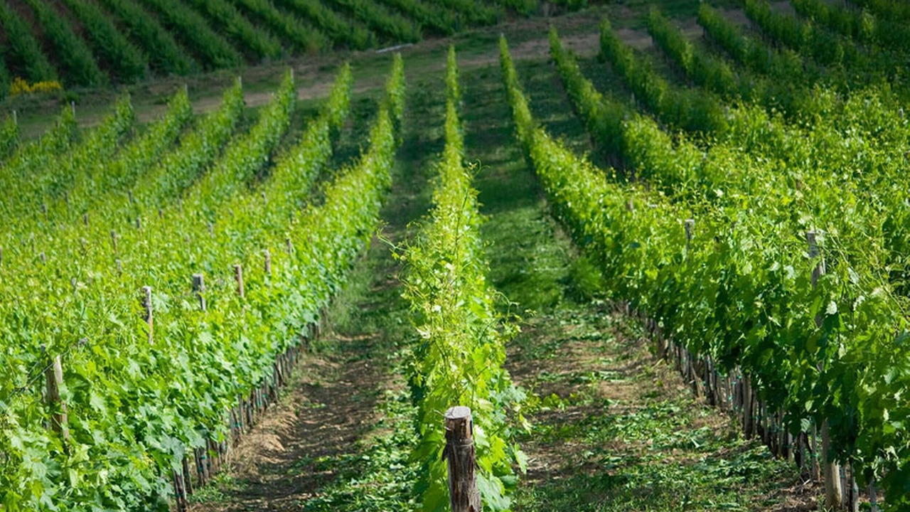 Photo of Outdoor in Starda