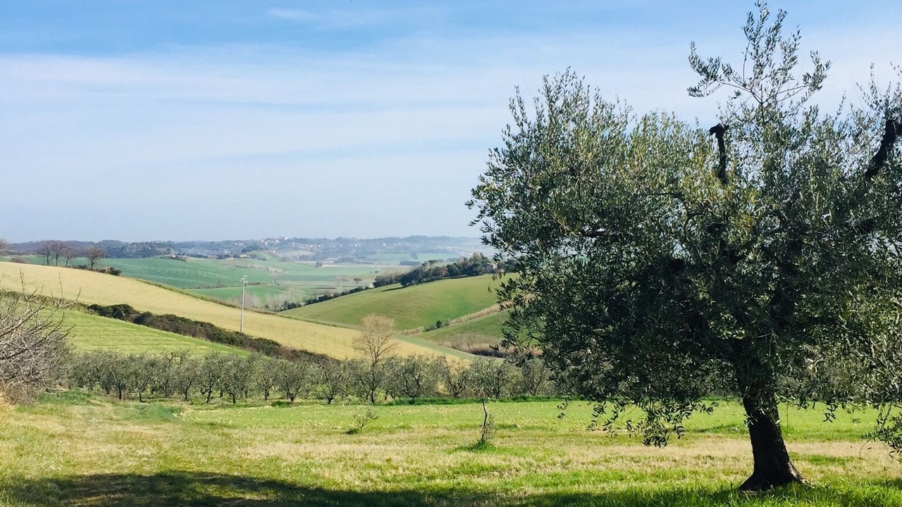 Photo of Others in Orciano Pisano