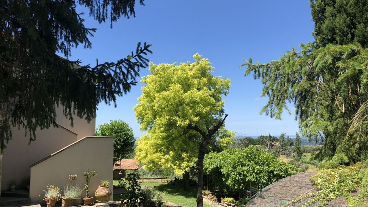 Photo of Outdoor in Guardistallo