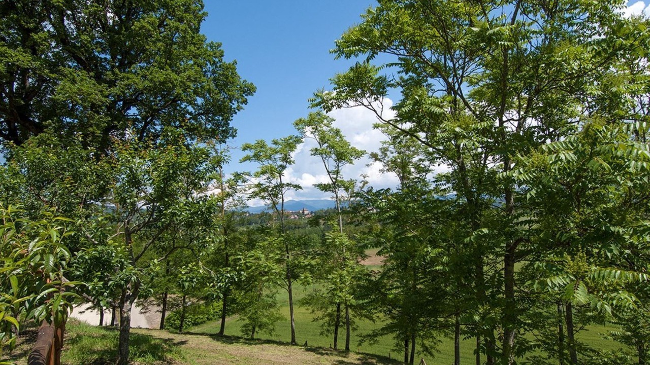 Photo of Outdoor in Starda