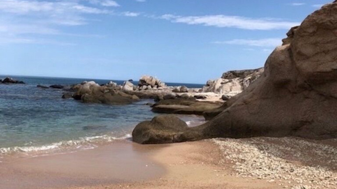 Photo of Others in Cabo Pulmo