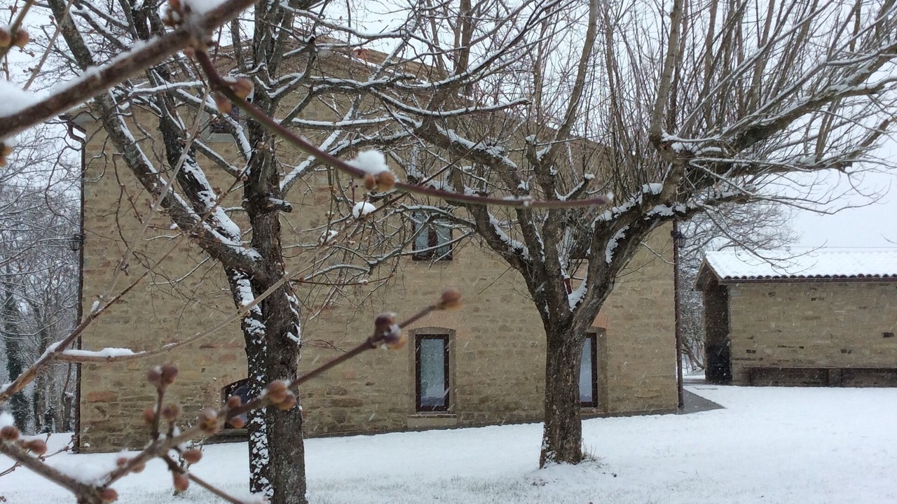 Photo of Outdoor in Tredozio