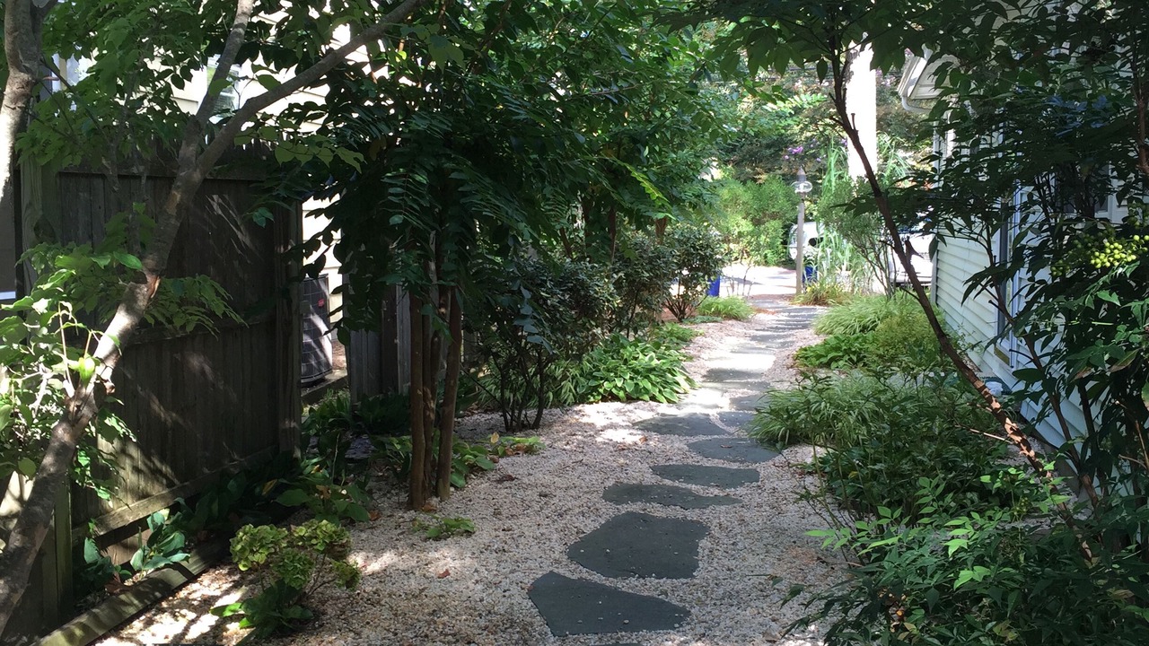 Photo of Outdoor in The Pines