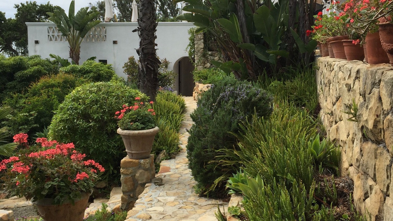 Photo of Outdoor in Upper Riviera