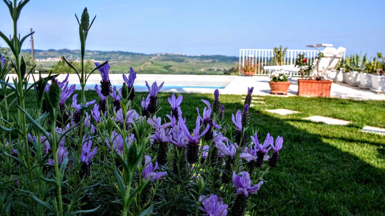 Photo of Outdoor in Morrona
