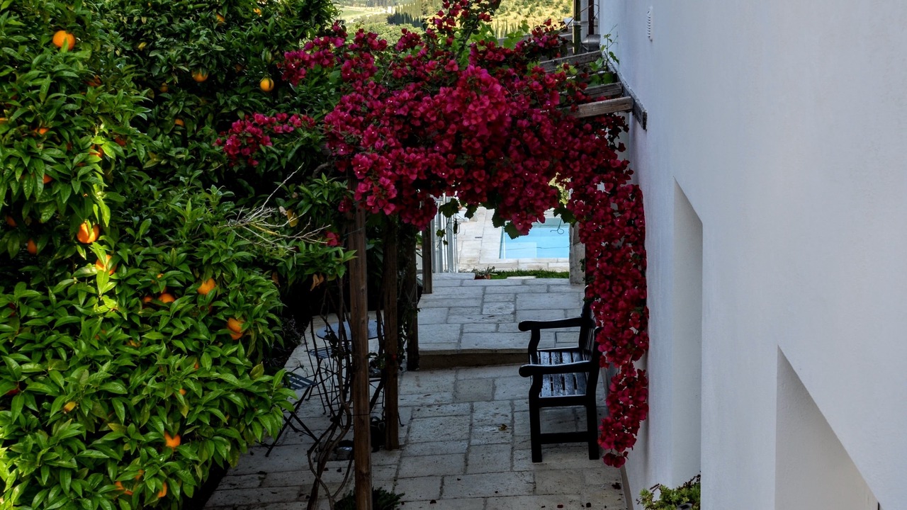 Photo of Outdoor in Morrona