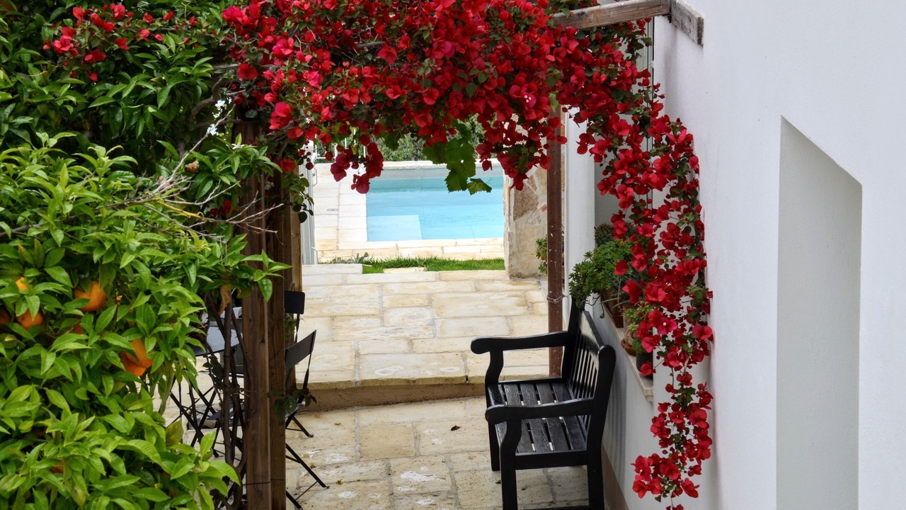 Photo of Patio Balcony in Morrona