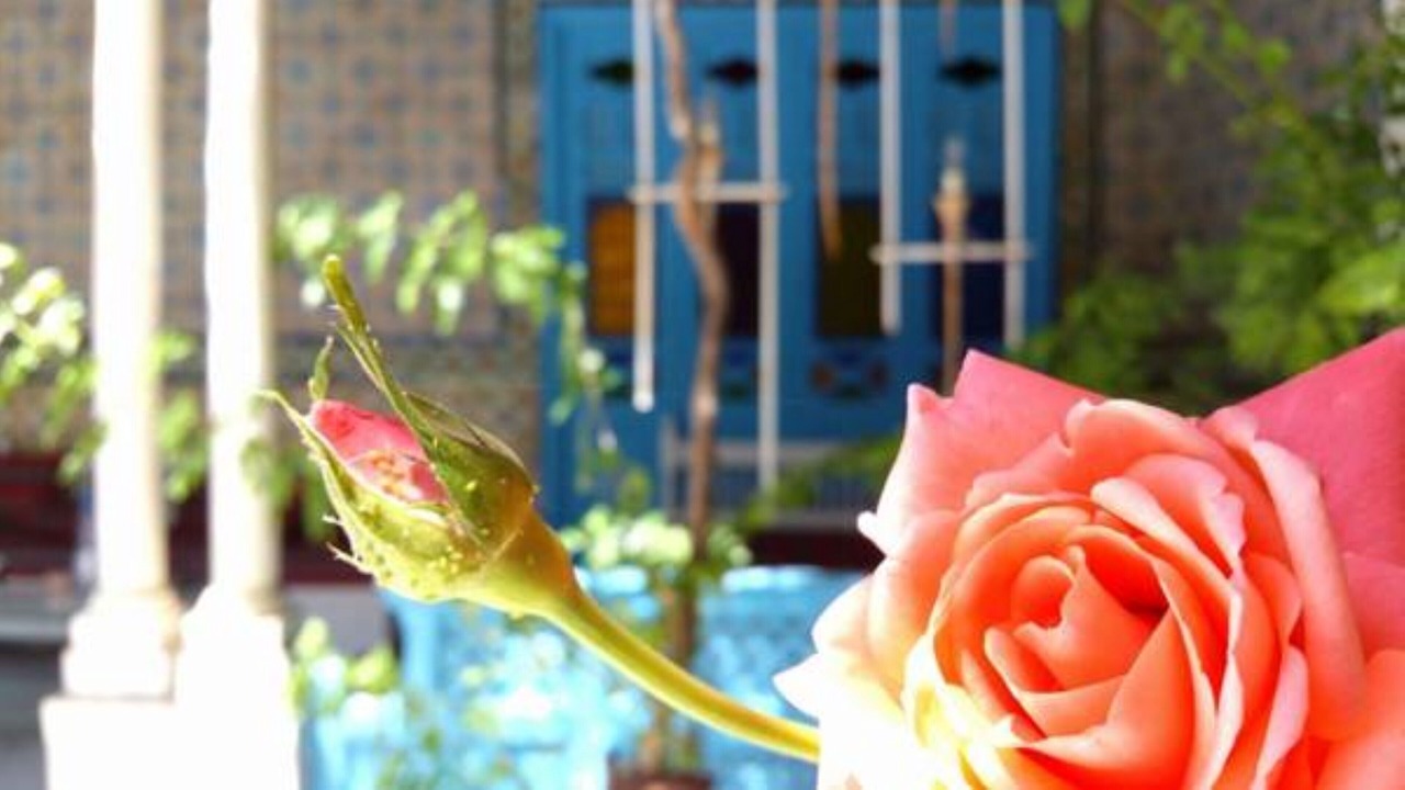 Photo of Others in Sidi Bou Said