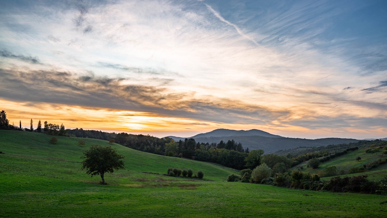 Photo of Outdoor in Casellina