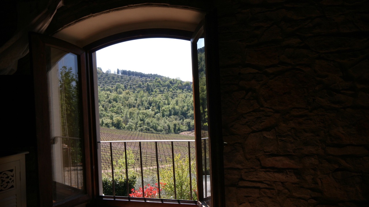 Photo of Others in Gaiole in Chianti