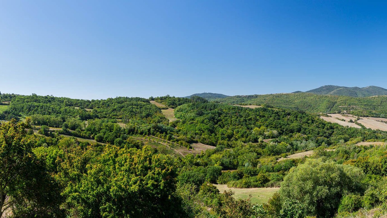 Photo of Outdoor in Pratolino