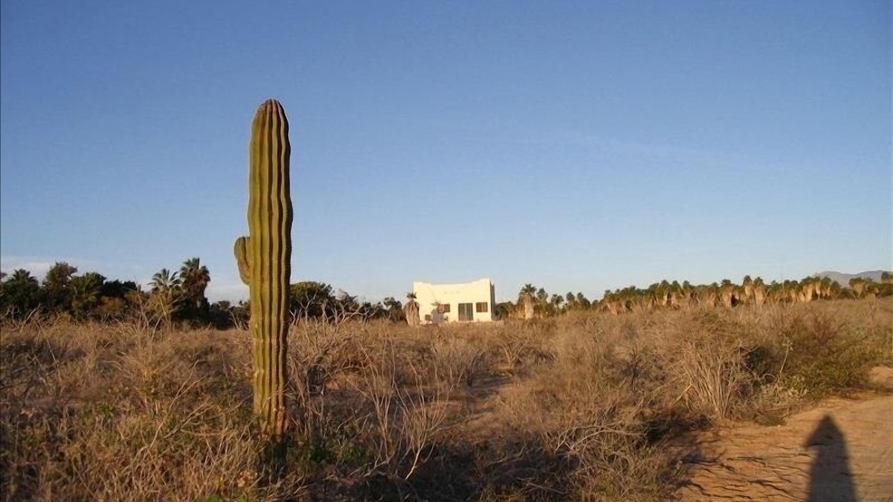 Photo of Others in Todos Santos