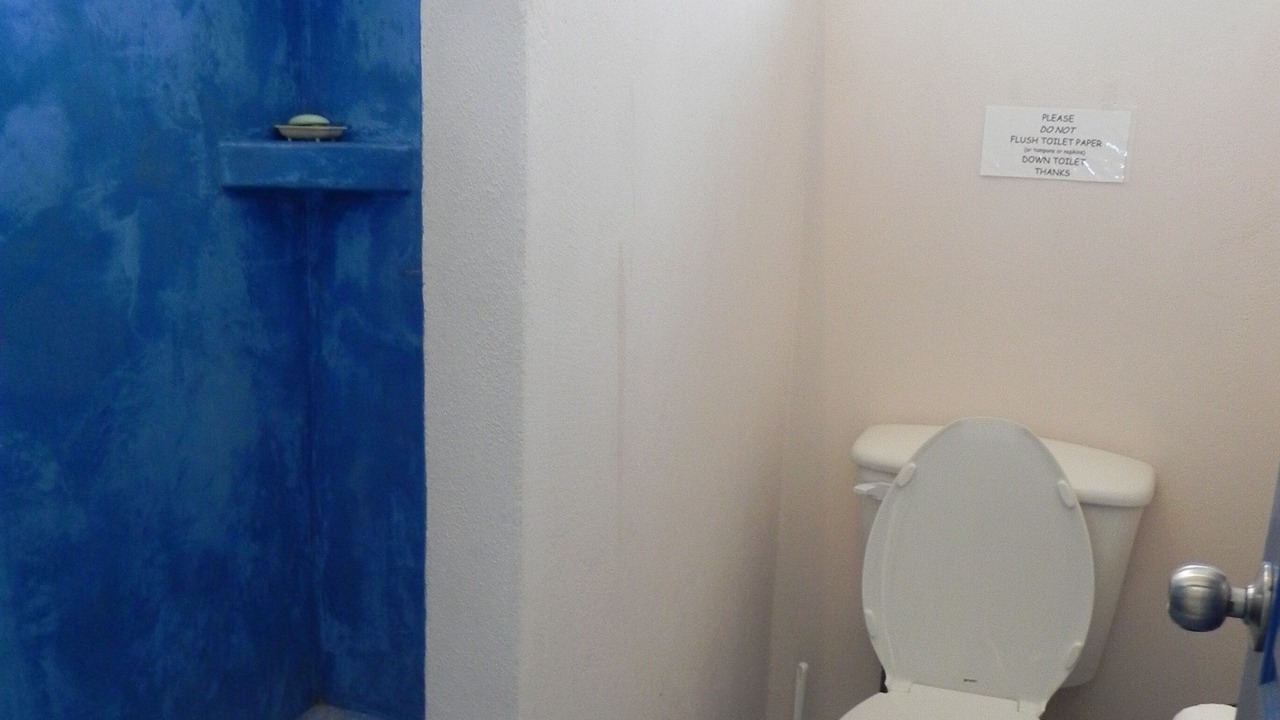 Photo of Bathroom in Todos Santos