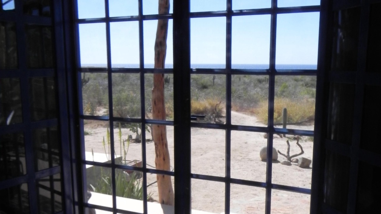 Photo of Others in Todos Santos