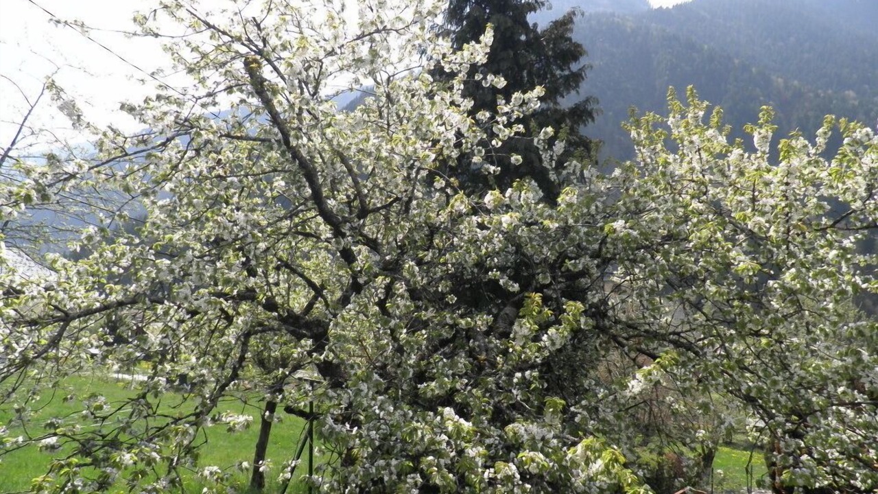 Photo of Outdoor in Villard-sur-Doron