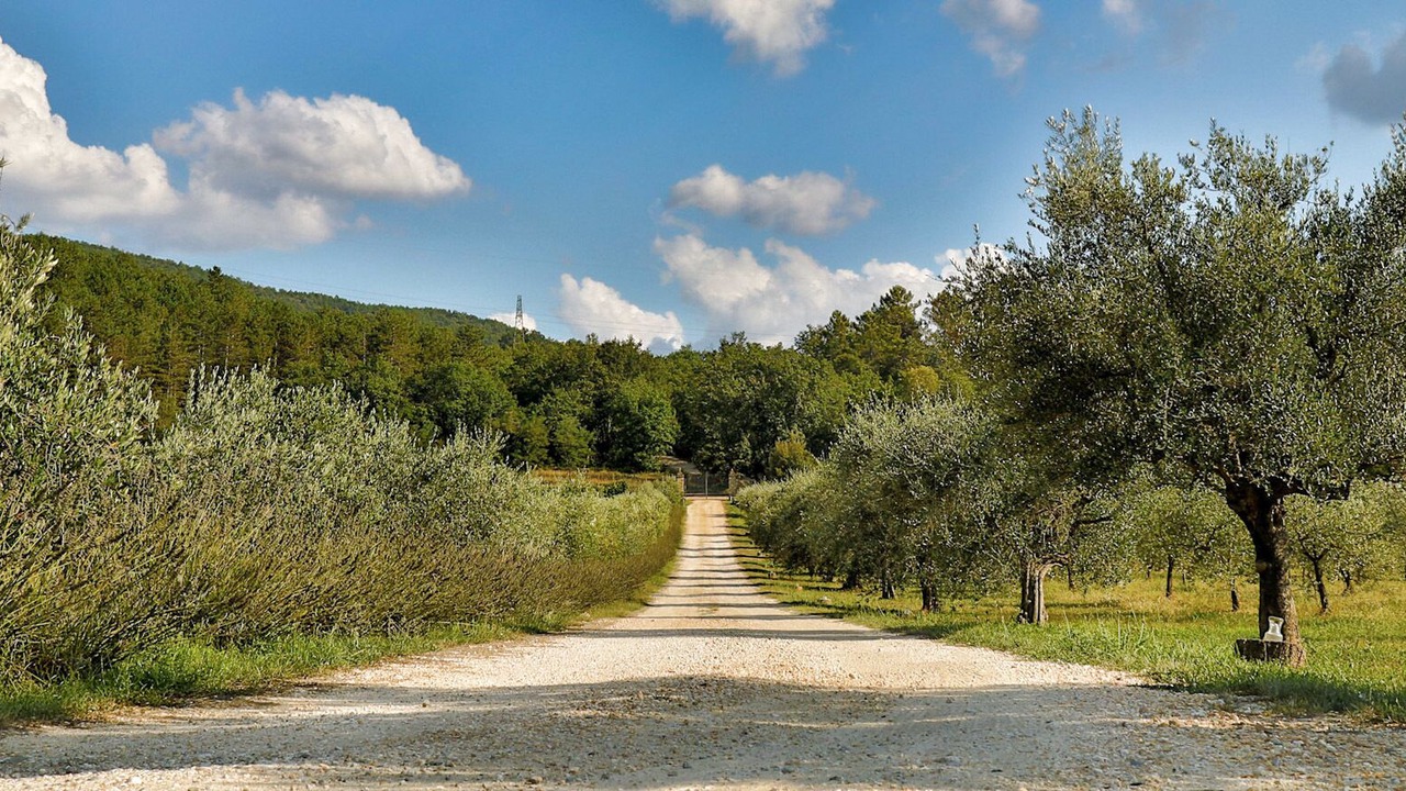 Photo of Outdoor in Radicondoli