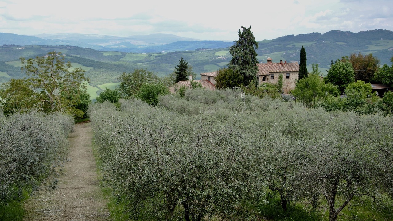 Photo of Outdoor in Radicondoli