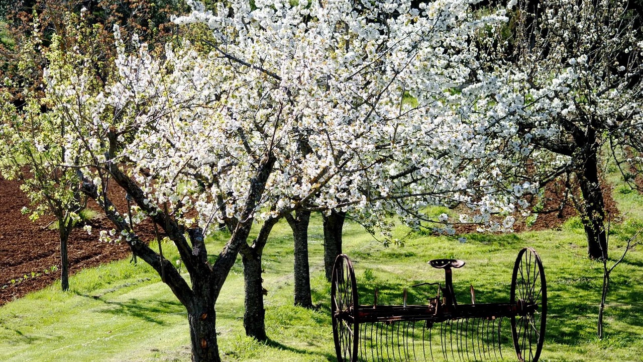 Photo of Outdoor in Radicondoli